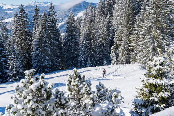 Alplerde kış yürüyüşü: Karla kaplı tepelerde ve doğanın her adımında güzelliğinin parladığı sakin manzaralarda nefes kesici bir yolculuk