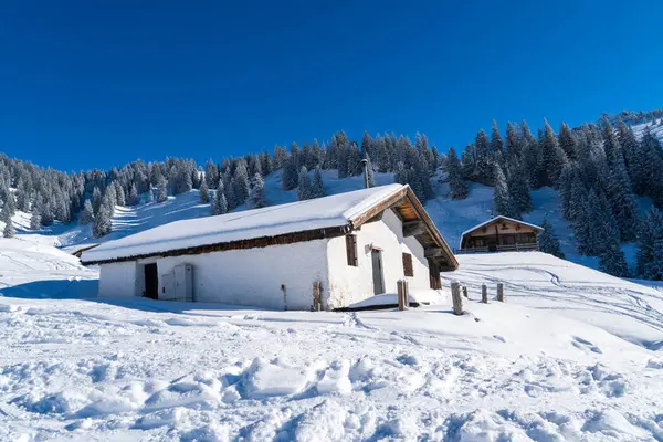 Alplerde kış yürüyüşü: Karla kaplı tepelerde ve doğanın her adımında güzelliğinin parladığı sakin manzaralarda nefes kesici bir yolculuk