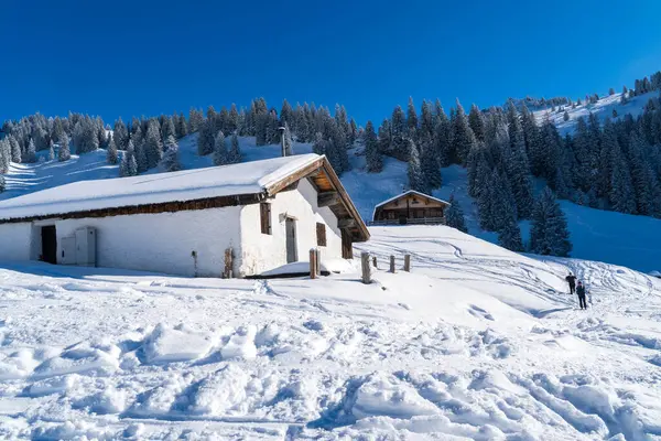 Alplerde kış yürüyüşü: Karla kaplı tepelerde ve doğanın her adımında güzelliğinin parladığı sakin manzaralarda nefes kesici bir yolculuk