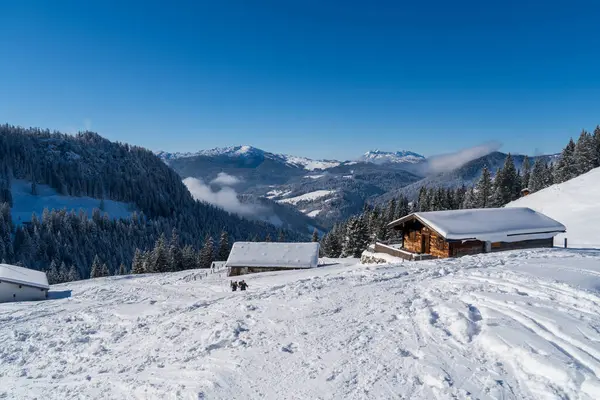 Alplerde kış yürüyüşü: Karla kaplı tepelerde ve doğanın her adımında güzelliğinin parladığı sakin manzaralarda nefes kesici bir yolculuk