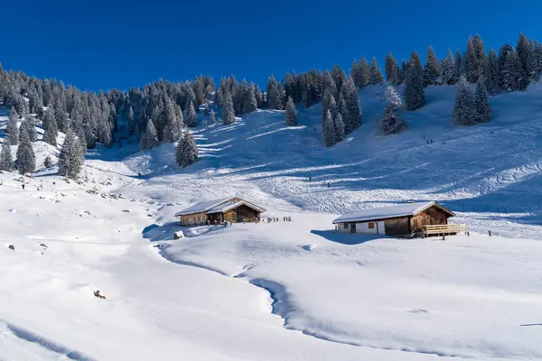 Alplerde kış yürüyüşü: Karla kaplı tepelerde ve doğanın her adımında güzelliğinin parladığı sakin manzaralarda nefes kesici bir yolculuk