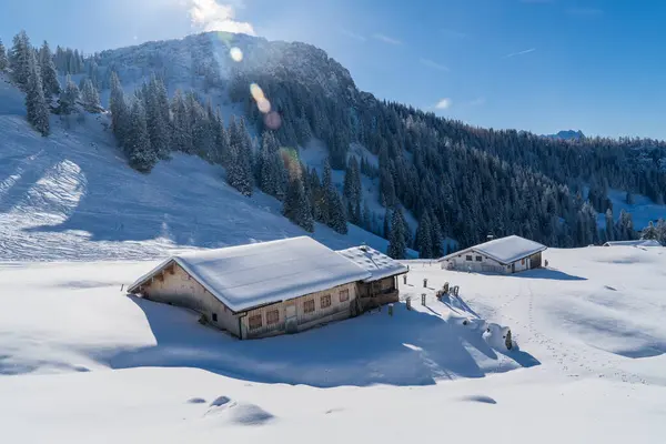 Alplerde kış yürüyüşü: Karla kaplı tepelerde ve doğanın her adımında güzelliğinin parladığı sakin manzaralarda nefes kesici bir yolculuk