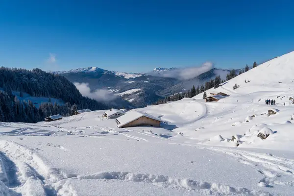 Alplerde kış yürüyüşü: Karla kaplı tepelerde ve doğanın her adımında güzelliğinin parladığı sakin manzaralarda nefes kesici bir yolculuk