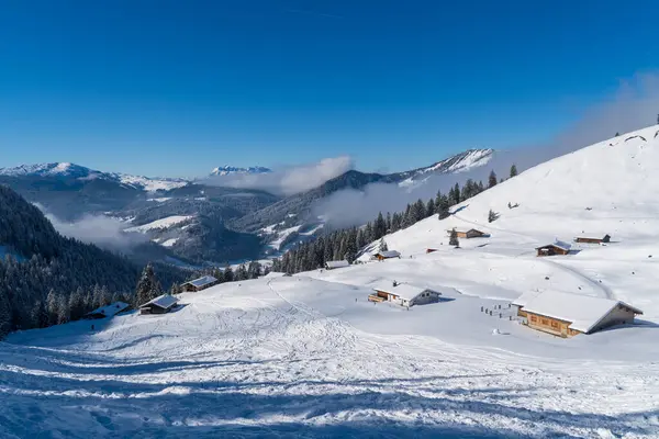 Alplerde kış yürüyüşü: Karla kaplı tepelerde ve doğanın her adımında güzelliğinin parladığı sakin manzaralarda nefes kesici bir yolculuk