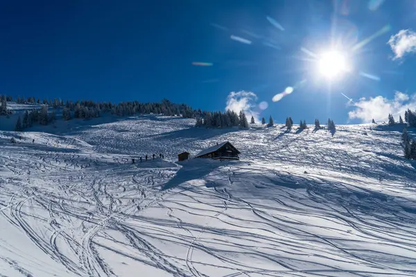 Alplerde kış yürüyüşü: Karla kaplı tepelerde ve doğanın her adımında güzelliğinin parladığı sakin manzaralarda nefes kesici bir yolculuk