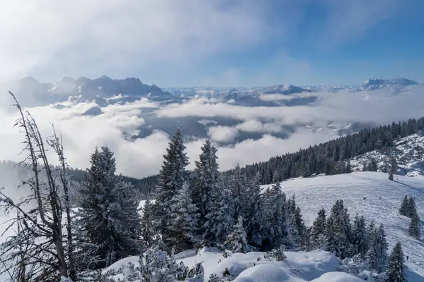 Alplerde kış yürüyüşü: Karla kaplı tepelerde ve doğanın her adımında güzelliğinin parladığı sakin manzaralarda nefes kesici bir yolculuk
