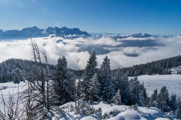 Alplerde kış yürüyüşü: Karla kaplı tepelerde ve doğanın her adımında güzelliğinin parladığı sakin manzaralarda nefes kesici bir yolculuk