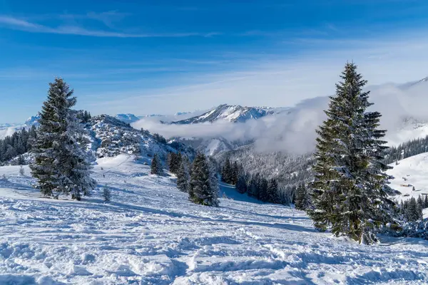 Alplerde kış yürüyüşü: Karla kaplı tepelerde ve doğanın her adımında güzelliğinin parladığı sakin manzaralarda nefes kesici bir yolculuk