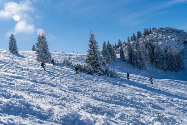 Alplerde kış yürüyüşü: Karla kaplı tepelerde ve doğanın her adımında güzelliğinin parladığı sakin manzaralarda nefes kesici bir yolculuk