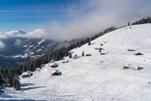 Alplerde kış yürüyüşü: Karla kaplı tepelerde ve doğanın her adımında güzelliğinin parladığı sakin manzaralarda nefes kesici bir yolculuk