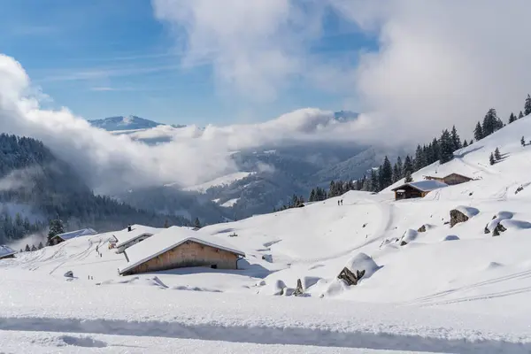 Alplerde kış yürüyüşü: Karla kaplı tepelerde ve doğanın her adımında güzelliğinin parladığı sakin manzaralarda nefes kesici bir yolculuk