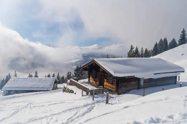 Alplerde kış yürüyüşü: Karla kaplı tepelerde ve doğanın her adımında güzelliğinin parladığı sakin manzaralarda nefes kesici bir yolculuk