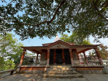 Mavi gökyüzünün altındaki bir ağacın altındaki tapınağın doğal güzelliğinin fotoğrafı.