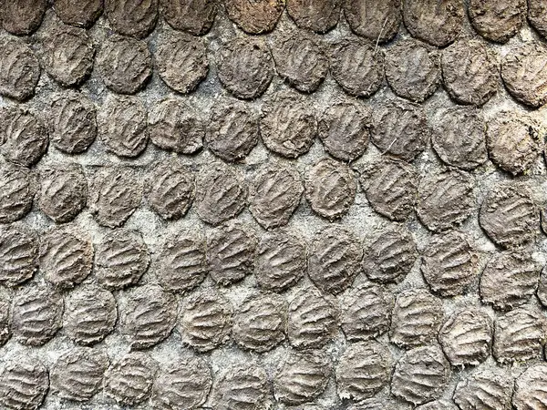  Evin duvarlarına inek gübresi bulaşmış..