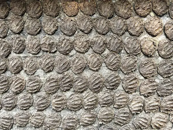  Evin duvarlarına inek gübresi bulaşmış..