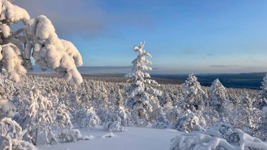 Dağlarda karla kaplı ağaçlarla kaplı kış manzarası.
