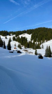 Karla kaplı güzel kış manzarası. Ağaçlarla kaplı. Ormandaki dağ sırası.