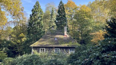 Ağaçlı ve yeşil yapraklı güzel bir manzara.