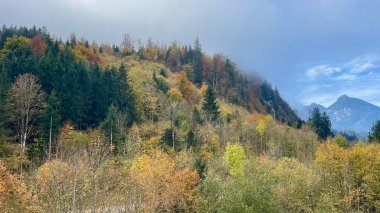 Ağaçlar ve dağlarla dolu sonbahar manzarası