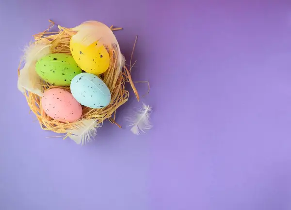 Mor arka planda tüyleri olan renkli Paskalya yumurtaları.