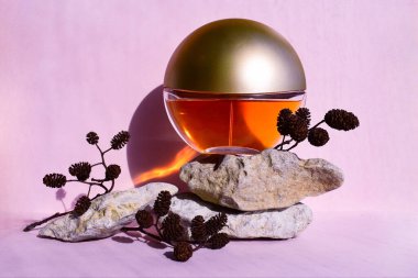 Dal ve koni ile Taşlardaki Parfüm