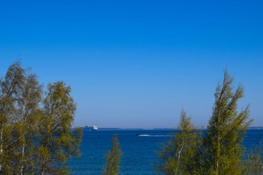 Deniz ve Ağaçlarla İlkbahar Manzarası