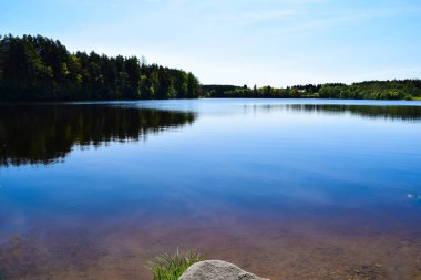 Tallinn 'de Göl ve Orman Yansıması