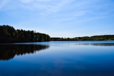 Tallinn 'de Göl ve Orman Yansıması