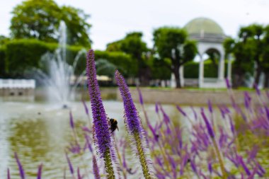 Kadriorg Park 'taki Culver' s Root 'ta Bumblebee.