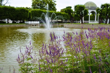 Kadriorg Parkı 'nda Çeşme ve Mor Çiçekler