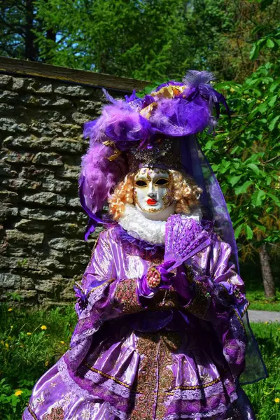 Süslü Mor ve Altın Karnaval Maskesi ve Kostümünün Yakın Çekimi