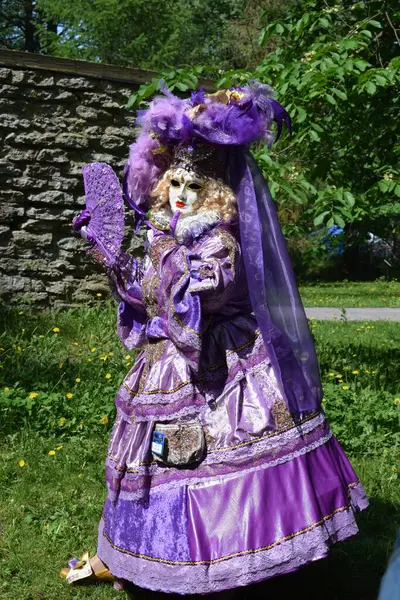 Yelpazeli Zarif Mor ve Altın Karnaval Kostümü
