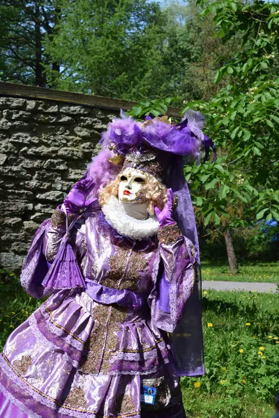 Yelpazeli Zarif Mor ve Altın Karnaval Kostümü