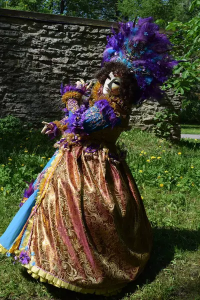 Süslü Karnaval Kostümü
