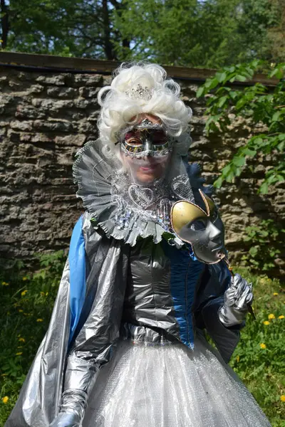 Maskeli Zarif Gümüş ve Mavi Karnaval Kostümü