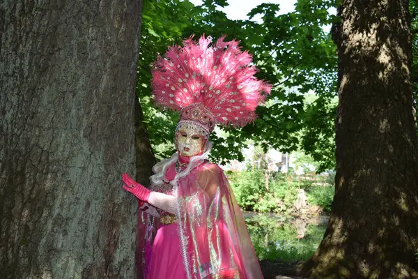 Bir Ağaçtan Süslü Pembe ve Altın Karnaval Kostümü