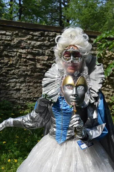 Maskeli Zarif Gümüş ve Mavi Karnaval Kostümü