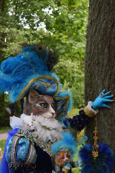 Fare ile Kedi Karnavalı Kostümünü Açıkla