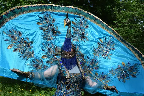 Tavus kuşu esinlenilmiş Karnaval Kostümü