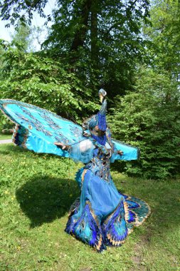 Muhteşem Tavuskuşu Karnavalı Kostümünü Göster