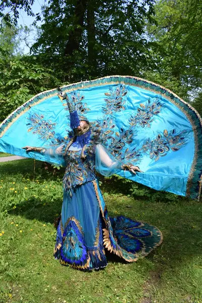 Muhteşem Tavuskuşu Karnavalı Kostümünü Göster