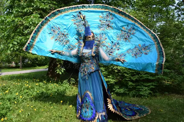 Muhteşem Tavuskuşu Karnavalı Kostümünü Göster