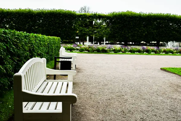 Tallinn 'deki Resmi Bahçe' de Çakıl Yolu 'ndaki Beyaz Benekler