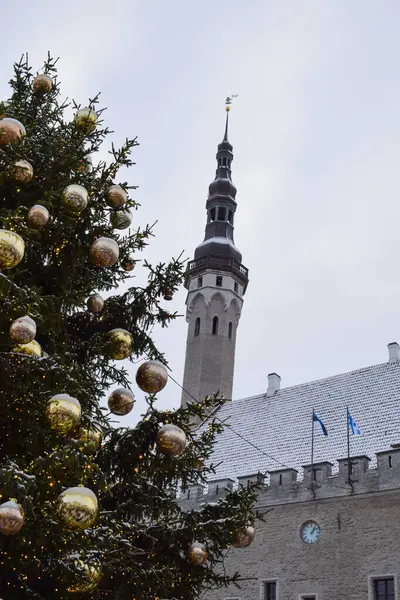 Winte 'deki Noel Ağacı ve Tallinn Belediye Binası