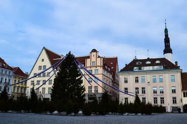 Tallinn 'deki Evergreen Ağacı' nın süslendiği Şenlikli Kasaba Meydanı