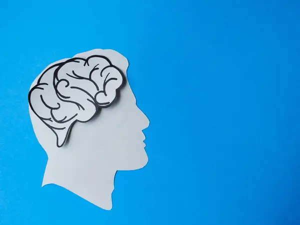 Mavi Arkaplanda Beyni Olan İnsan Başı