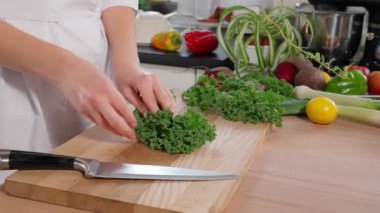 Şef sağlıklı bir vegan kahvaltısı hazırlıyor. Bir kadının eli, genç lahana yapraklarını tahta bir tahtanın üzerinde keskin bir bıçakla kesiyor. Yeşiller, sağlıklı beslenme. Yakın plan, kenar görünüm