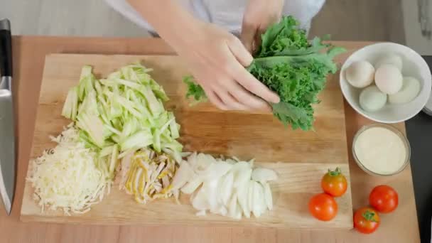 Šéfkuchař Připravuje Zdravou Veganskou Snídani Seká Mladé Kapustu Zelí Listy — Stock video