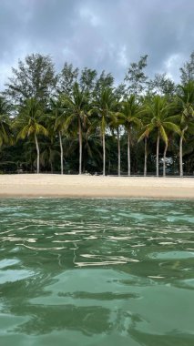 Fırtına bulutlarının altında palmiye ağaçları olan terk edilmiş bir sahil. Tayland, Phuket sahilinden deniz manzarası.