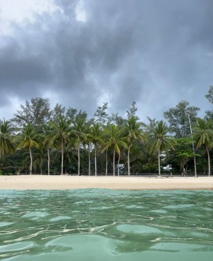 Palmiye ağaçları, beyaz kum ve zümrüt suyu ile kara fırtınalı bir gökyüzüne karşı tropik plaj. Sudan kıyı şeridine hindistan cevizi palmiyeleriyle bak. Phuket, Tayland 'da plaj.